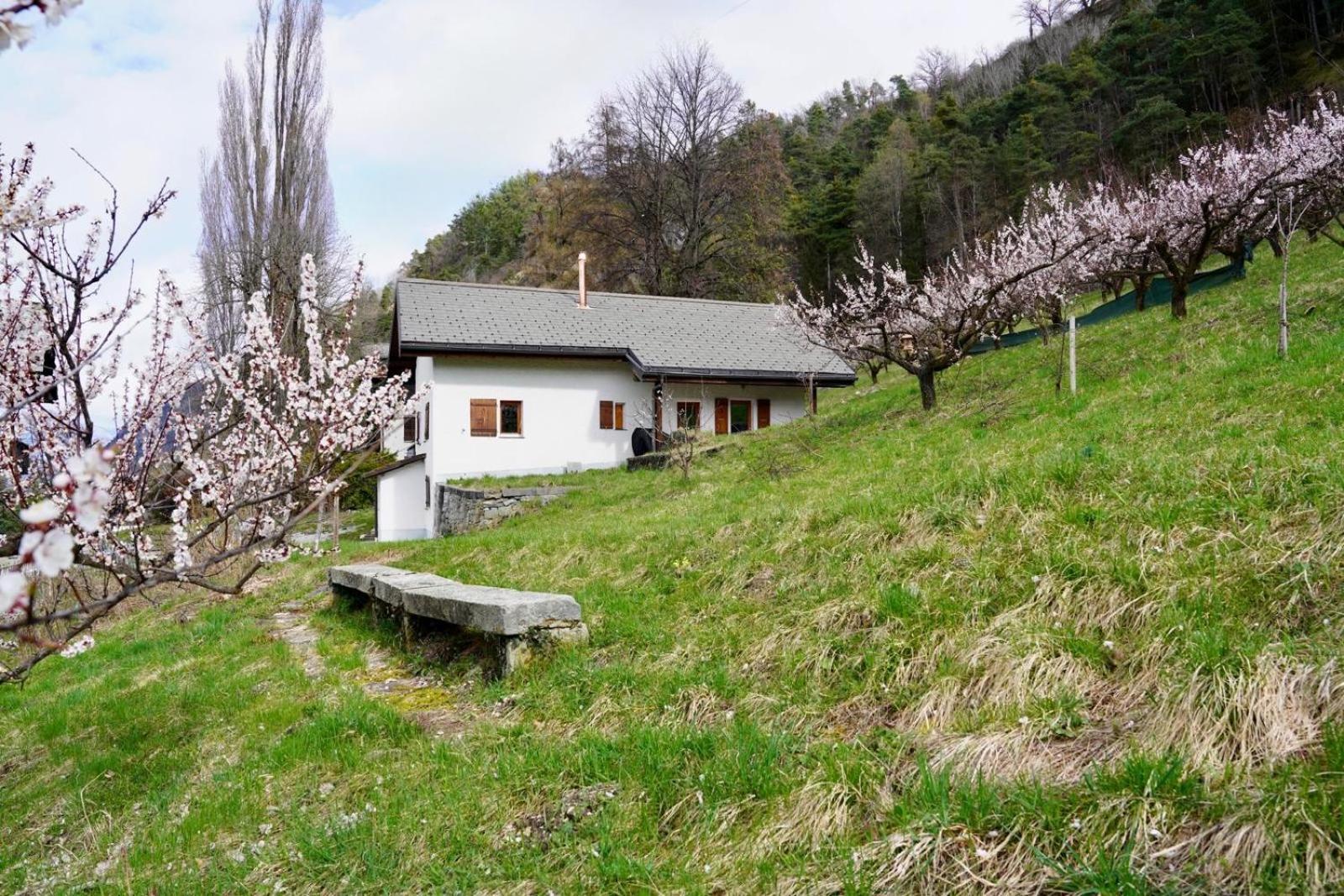 Maisonnette De Campagne Sion Zewnętrze zdjęcie